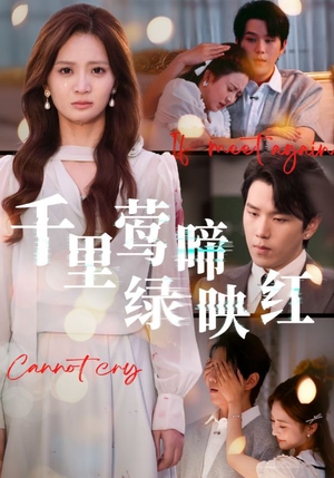 千里莺啼绿映红（63集）短剧精彩不断