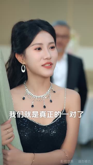 选媳乌龙（80集）观看软件