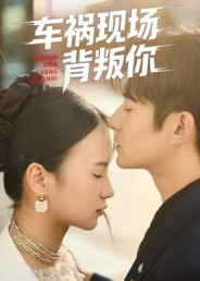 车祸现场背叛你(37集) 车祸现场背叛你(37集)在哪里看