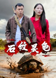 石纹灵龟（30集）超火短剧抢先看