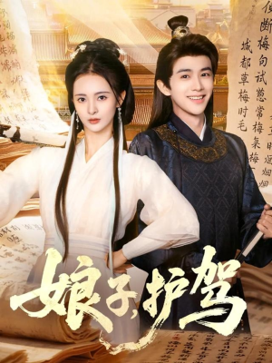 娘子护驾(73集) 娘子护驾(73集)一共多少集