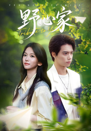 野心家（65集）热播古装短剧