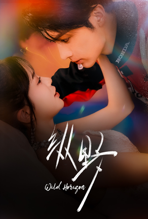 纵野（60集）360网盘观看