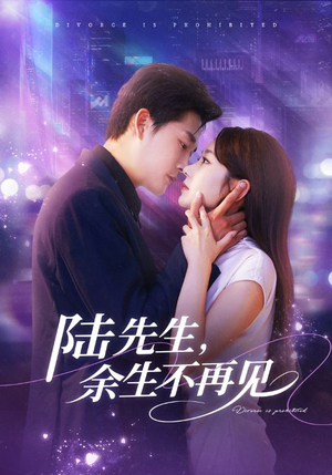 陆先生，余生不再见（88集）超好看的短剧