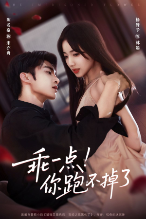 乖一点！你跑不掉了（80集）好看的短剧