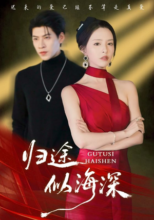 归途似海深（61集）网上可以看吗