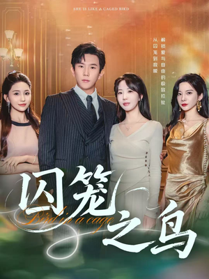囚笼之鸟（52集）精彩的短剧