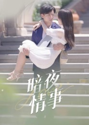 暗夜情事（100集）剧情简介