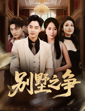 别墅之争（59集）观看软件