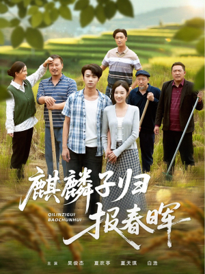 麒麟子归报春晖（36集）火爆短剧来袭