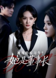 被甩的实习生？她是董事长！（59集）番茄短剧看全集