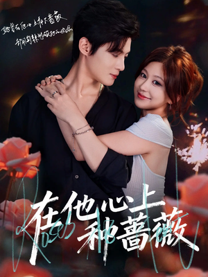 在他心上种蔷薇（81集）好看短剧看不停