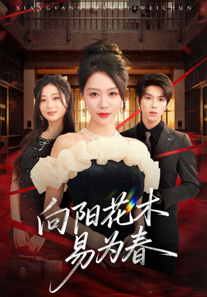 新：向阳花木易为春（72集）熬夜追短剧