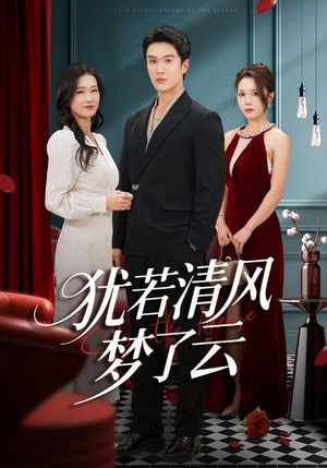 犹若清风梦了云（66集）全部免费看全集
