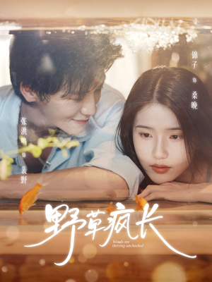 野草疯长(71集) 野草疯长(71集)精彩短剧推荐
