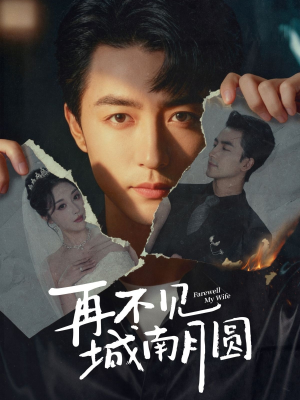 再不见城南月圆（60集）快来看短剧