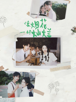 像烟花一样灿烂（60集）高质量短剧推荐