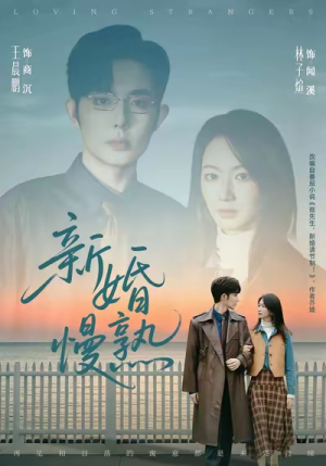 新婚慢熟（105集）在线观看完整版