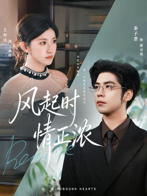 风起时情正浓（79集）短视频追剧推荐