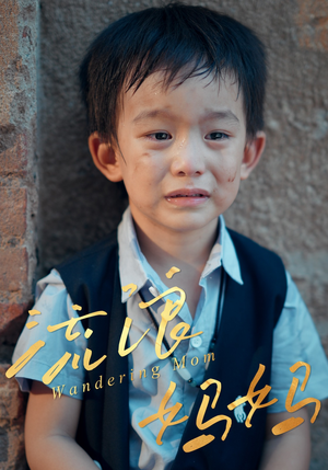 流浪妈妈（30集）超级好看的短剧