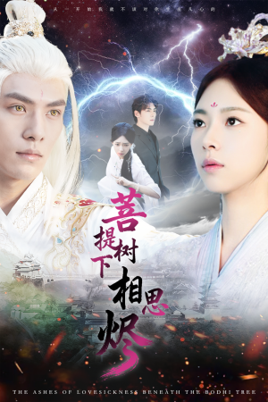 菩提树下相思烬（63集）观看软件