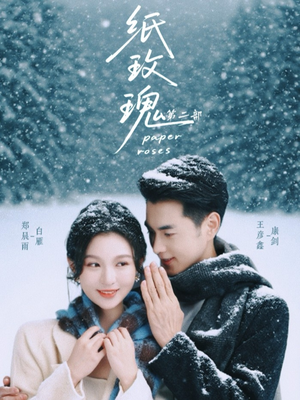 纸玫瑰第二部（80集）短剧免费分享