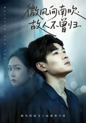 微风向南吹，故人不曾归（72集）热门爆款短剧