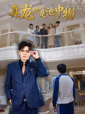 真龙岂是池中物（80集）短剧解说全集