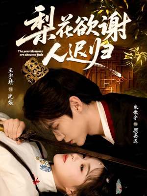 梨花欲谢人迟归（60集）完整版
