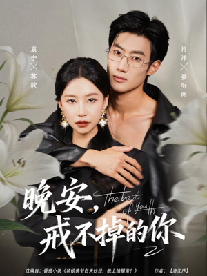 晚安，戒不掉的你（68集）一起追生活短剧