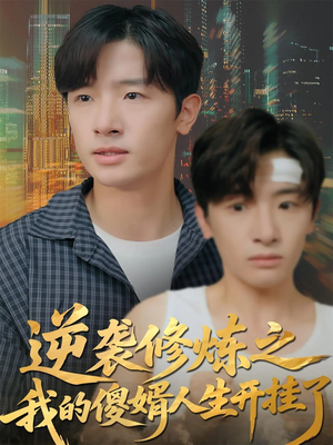 逆袭修炼之我的傻婿人生开挂了（65集）热门短剧在线看