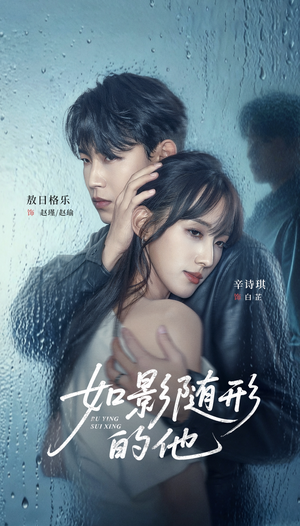 如影随形的他（30集）好看上头短剧