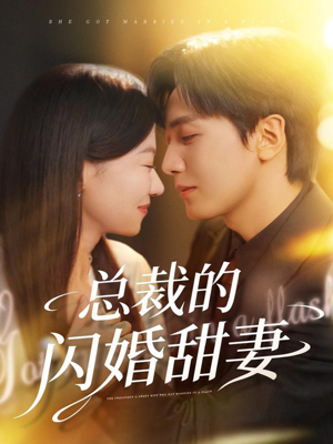 总裁的闪婚甜妻(61集) 总裁的闪婚甜妻(61集)80到100集