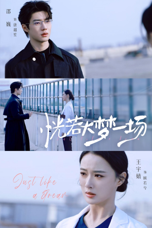 恍若大梦一场(53集) 恍若大梦一场(53集)网盘在线观看