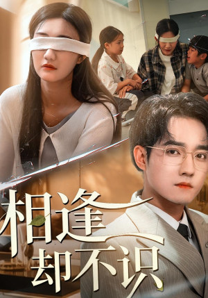 相逢却不识（77集）解说