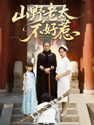 奶奶一脚震全城（64集）免费观看