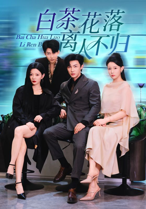 白茶花落离人(51集) 白茶花落离人(51集)全集我都看完了