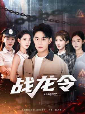 战龙令（76集）评价怎么样