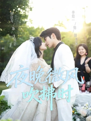 夜晚微风吹拂时（61集）免费观看全集