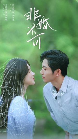 非婚不可（65集）精彩短剧抢先看