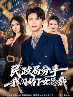 民政局分手，我闪婚了女总裁（72集）百度网盘资源