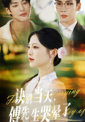 诀别当天傅先生哭晕了（62集）全集完整版