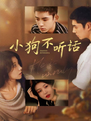 小狗不听话（70集）短剧太精彩