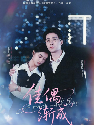 佳偶渐成(71集) 佳偶渐成(71集)超火热门短剧