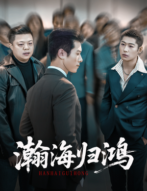 瀚海归鸿（74集）抢先看热门短剧