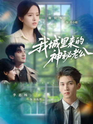 我城里来的神秘老公（30集）去哪里看