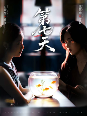 第七天（48集）一共多少集