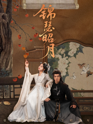 锦瑟昭月（68集）热播短剧重燃