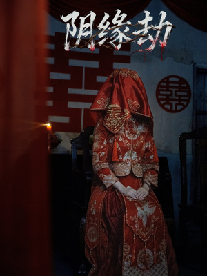 阴缘劫（25集）在线看到大结局