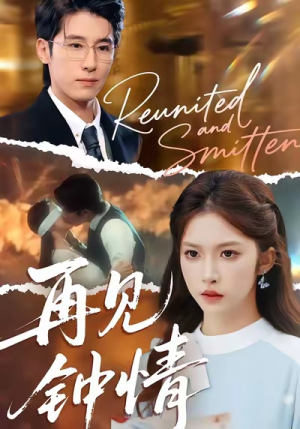 再见钟情（100集）高清无码免费看